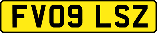 FV09LSZ