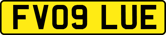 FV09LUE