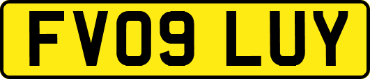 FV09LUY