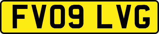 FV09LVG