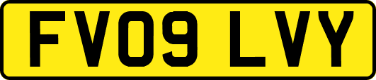FV09LVY
