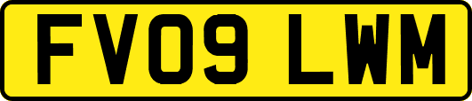 FV09LWM