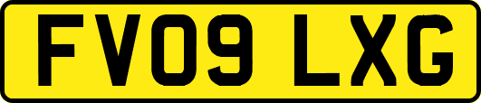 FV09LXG
