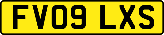 FV09LXS