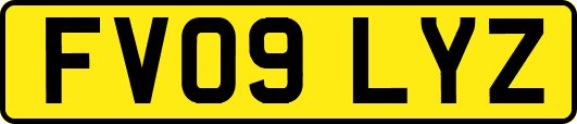 FV09LYZ