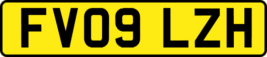 FV09LZH