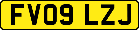 FV09LZJ