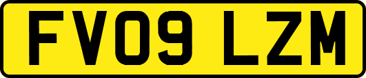 FV09LZM