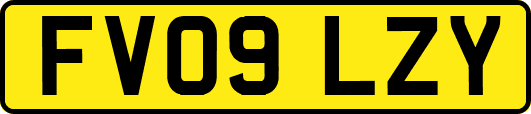 FV09LZY
