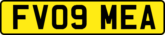 FV09MEA