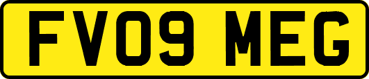 FV09MEG