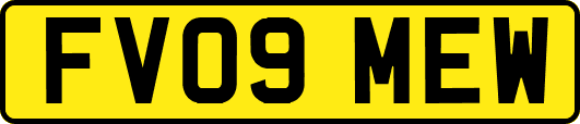 FV09MEW