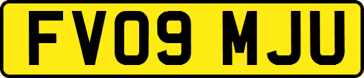 FV09MJU