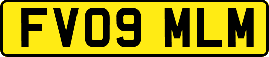 FV09MLM