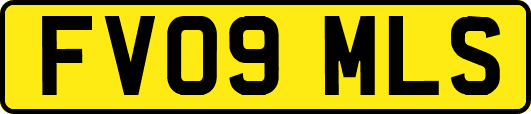 FV09MLS