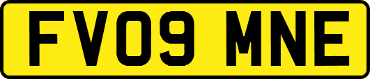 FV09MNE