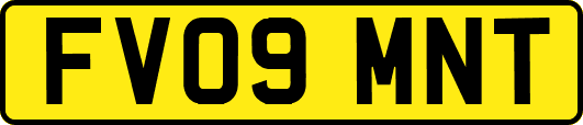 FV09MNT