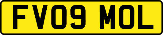 FV09MOL