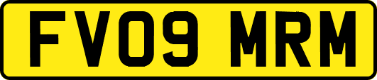 FV09MRM