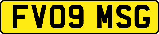 FV09MSG