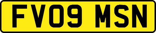 FV09MSN