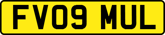 FV09MUL