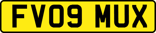FV09MUX