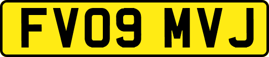 FV09MVJ