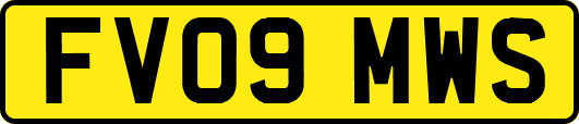 FV09MWS