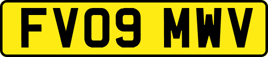FV09MWV