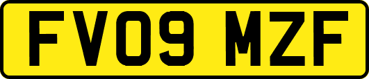 FV09MZF