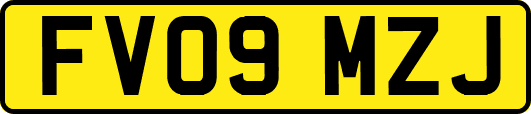 FV09MZJ