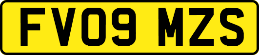 FV09MZS