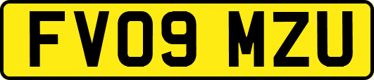 FV09MZU