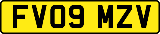 FV09MZV