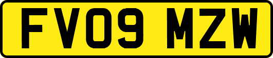 FV09MZW