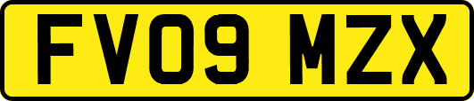 FV09MZX