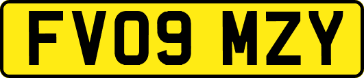 FV09MZY