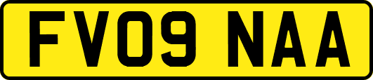 FV09NAA