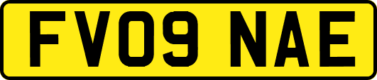 FV09NAE