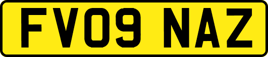 FV09NAZ