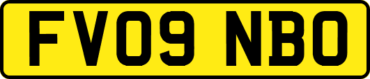 FV09NBO