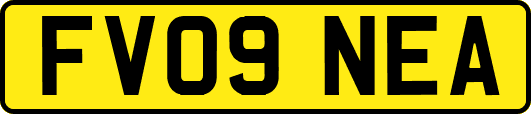 FV09NEA