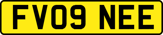 FV09NEE