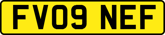 FV09NEF
