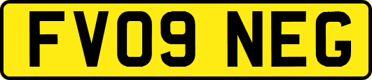 FV09NEG