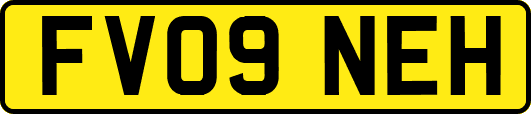 FV09NEH