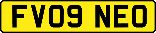 FV09NEO