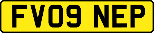 FV09NEP