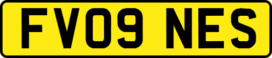 FV09NES